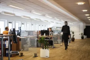 Dlaczego firmy upadają